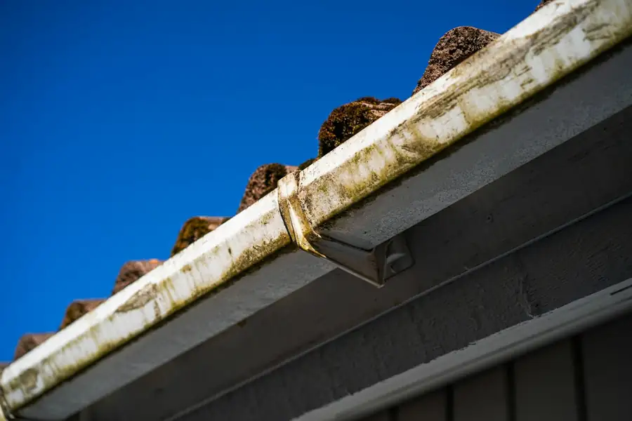 Clogged gutter full of moss and debris before cleaning